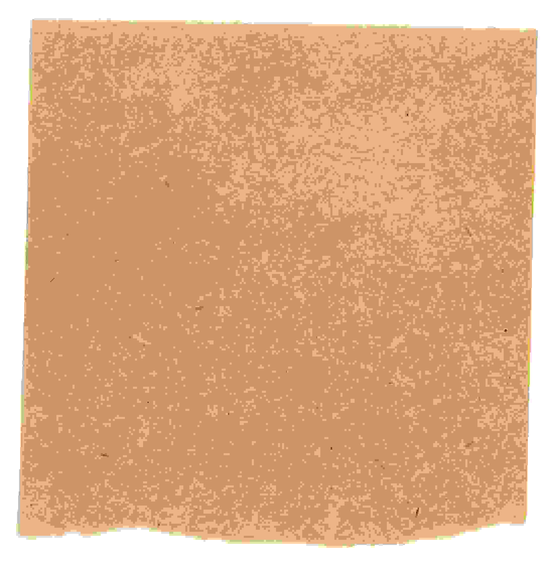 Siegling Note 9 – Image b