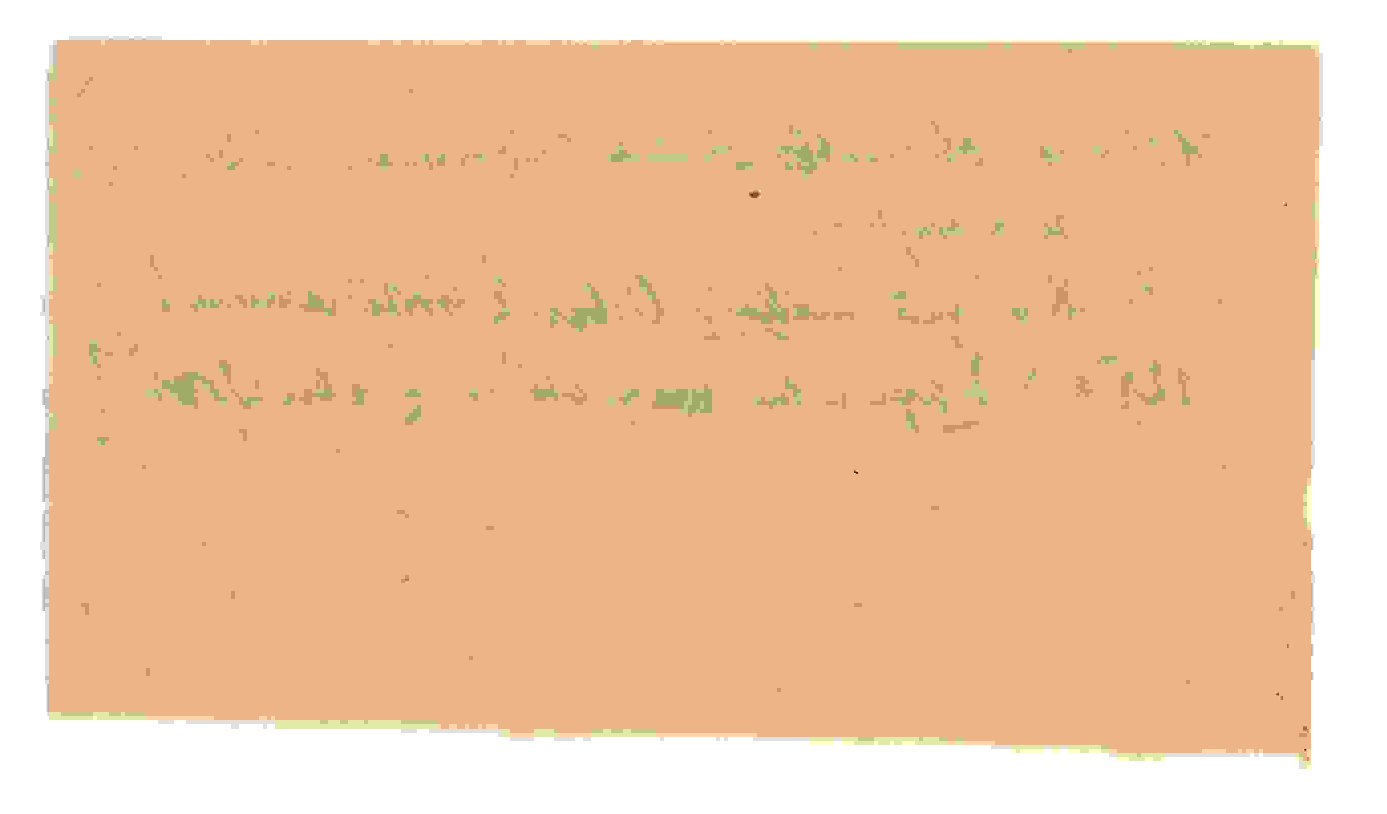 Siegling Note 11 – Image b