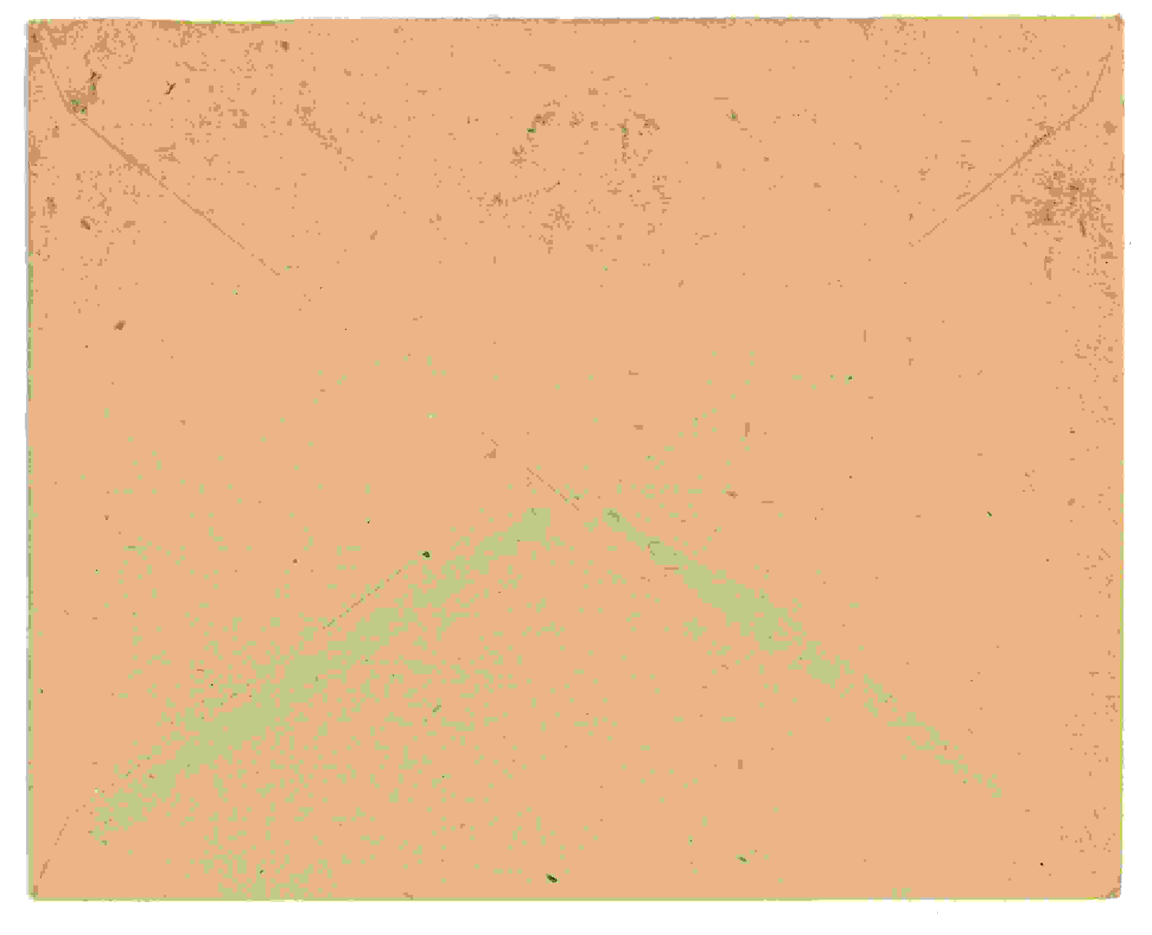 Siegling Letter 5 – Image b
